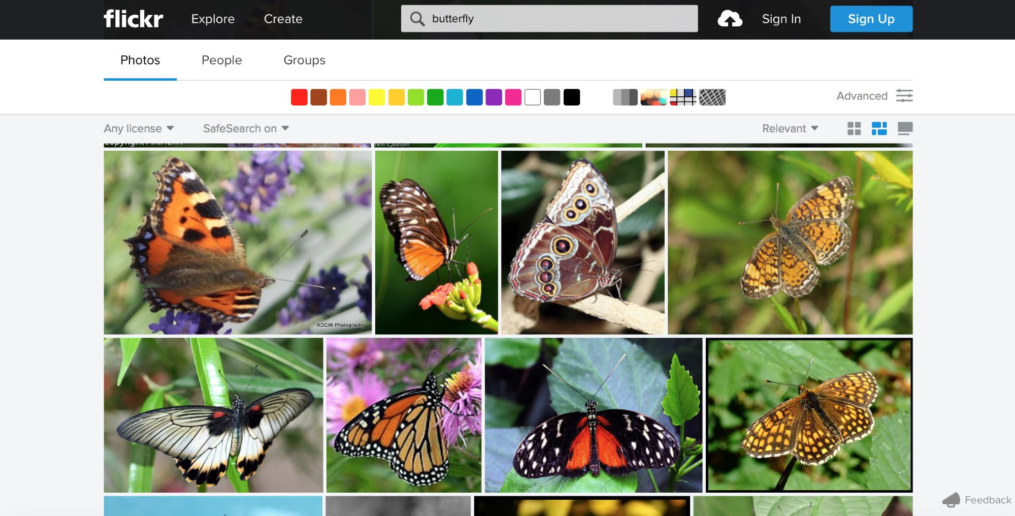 Flickr has so much eclectic content that a multi-page format would be too difficult to navigate.