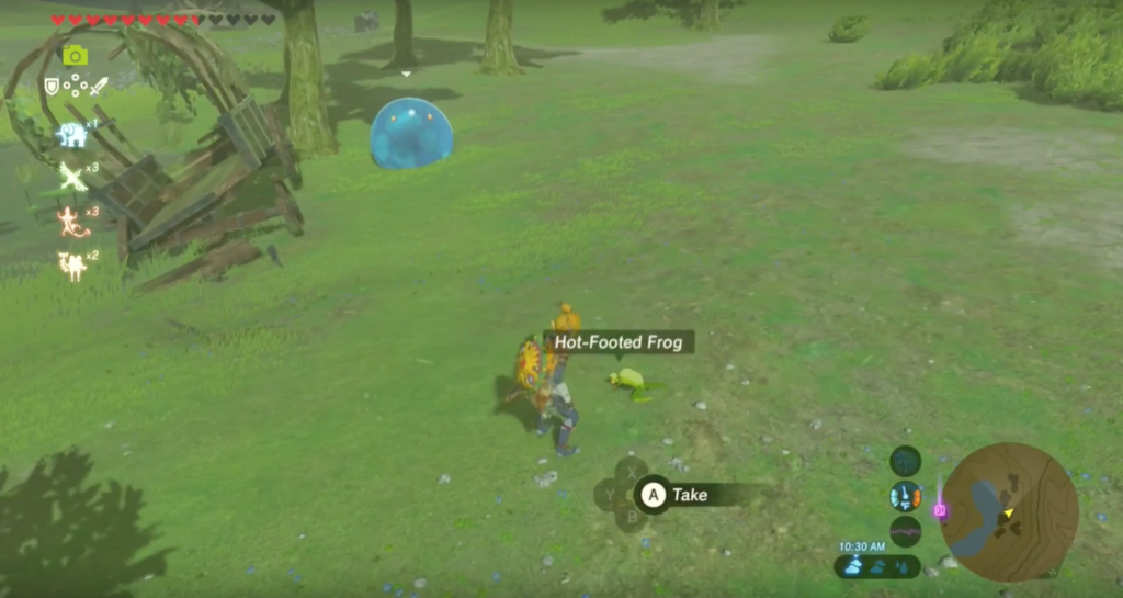 Zelda character pausing to look at a frog with frog detail text displayed on-screen