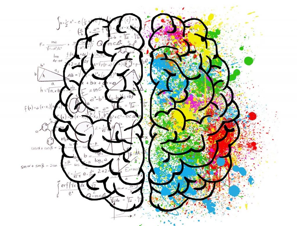 Illustration showing two halves of a brain showing a concept of rational versus emotional sides. 